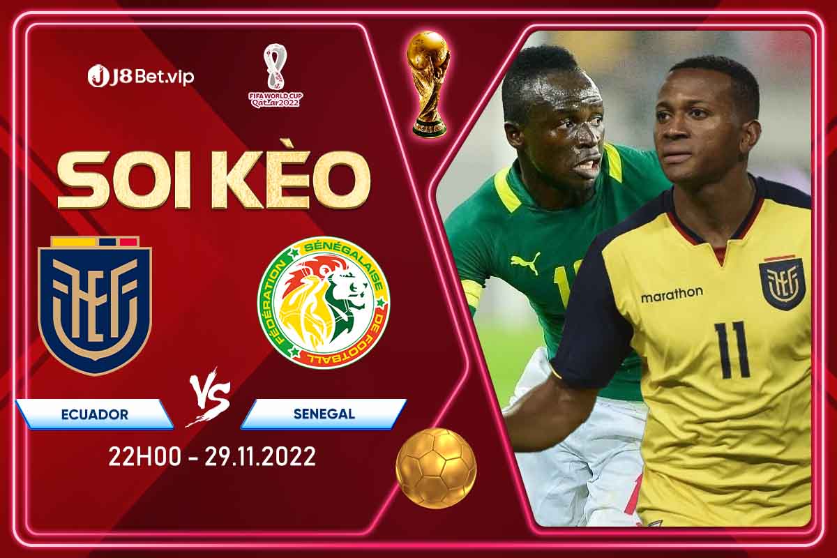 Soi kèo world cup 2022 Ecuador vs Senegal